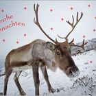 Frohe Weihnachten