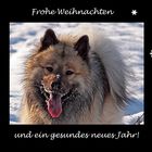 Frohe Weihnachten!