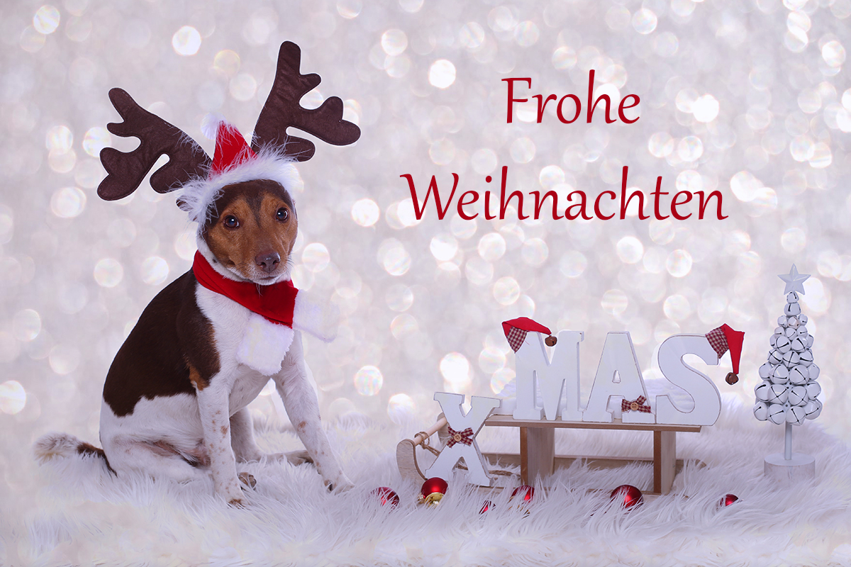 Frohe Weihnachten...