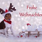 Frohe Weihnachten...