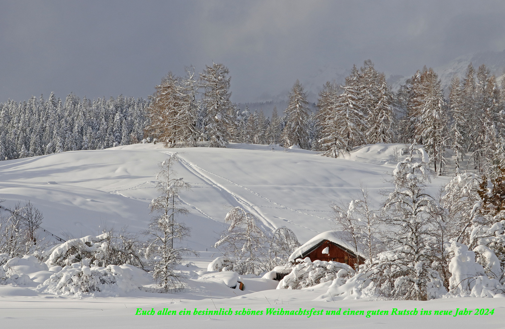 ~*~Frohe Weihnachten~*~