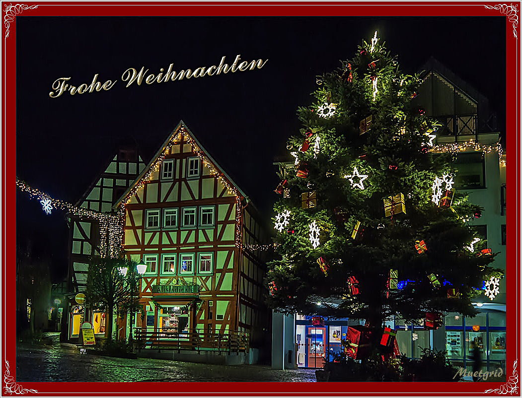 ~ frohe Weihnachten ~