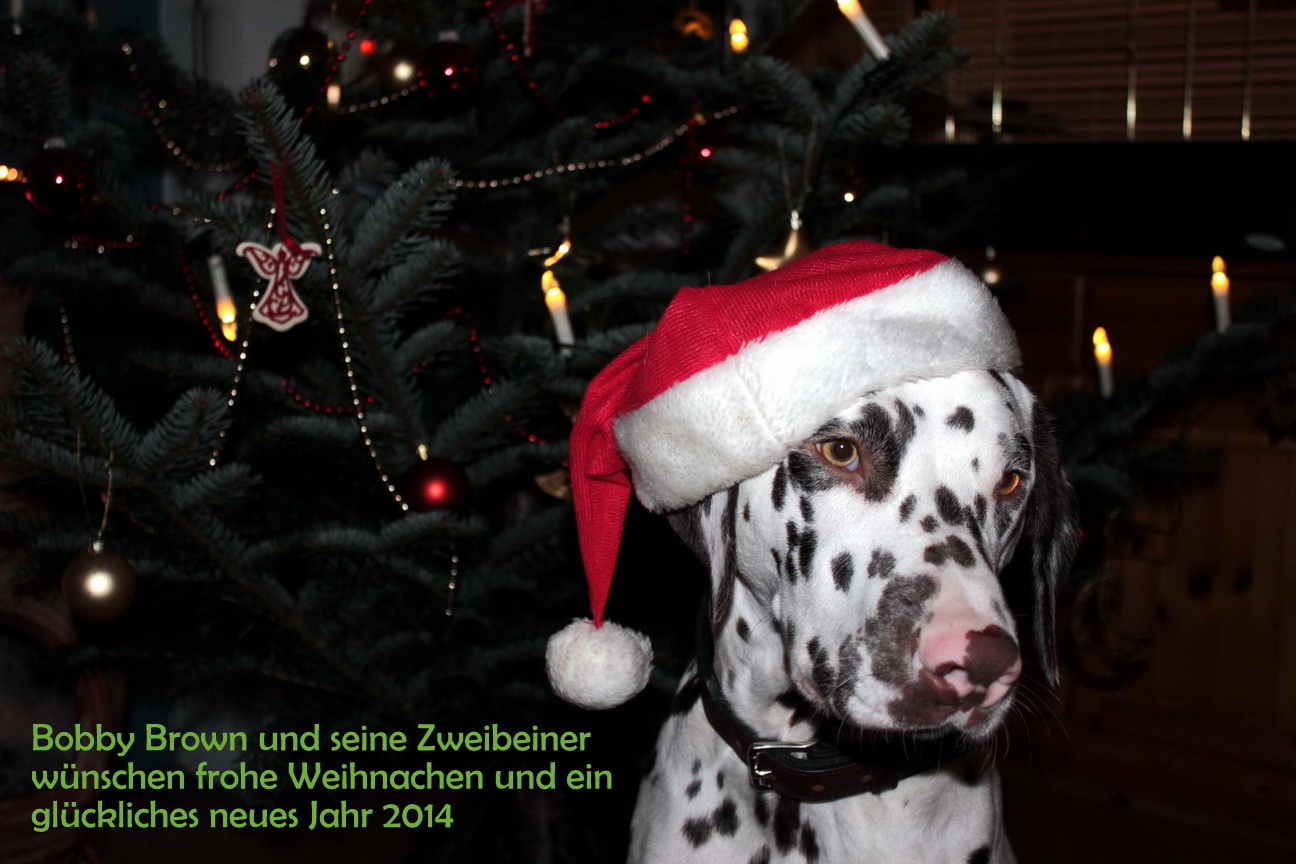 Frohe Weihnachten......