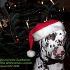 Frohe Weihnachten......