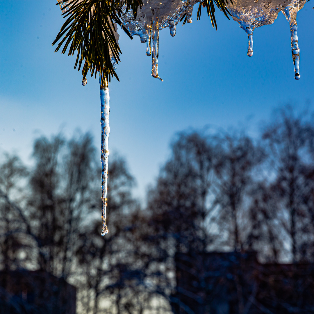 Frohe Weihnachten 