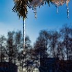 Frohe Weihnachten 