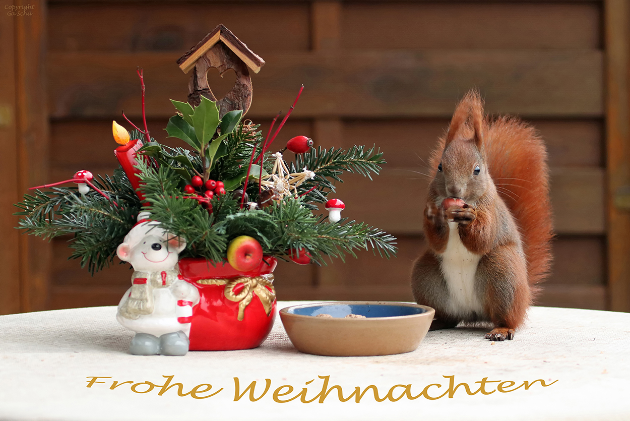  Frohe Weihnachten 