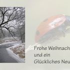 Frohe Weihnachten ...