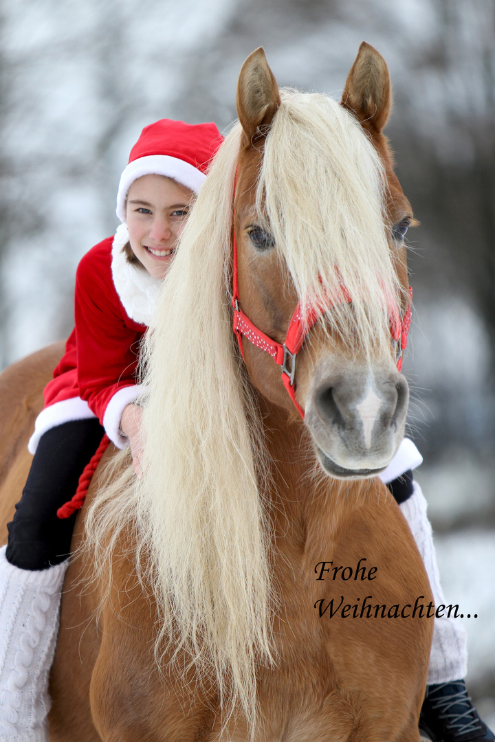 Frohe Weihnachten...