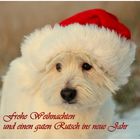 *** Frohe Weihnachten ***