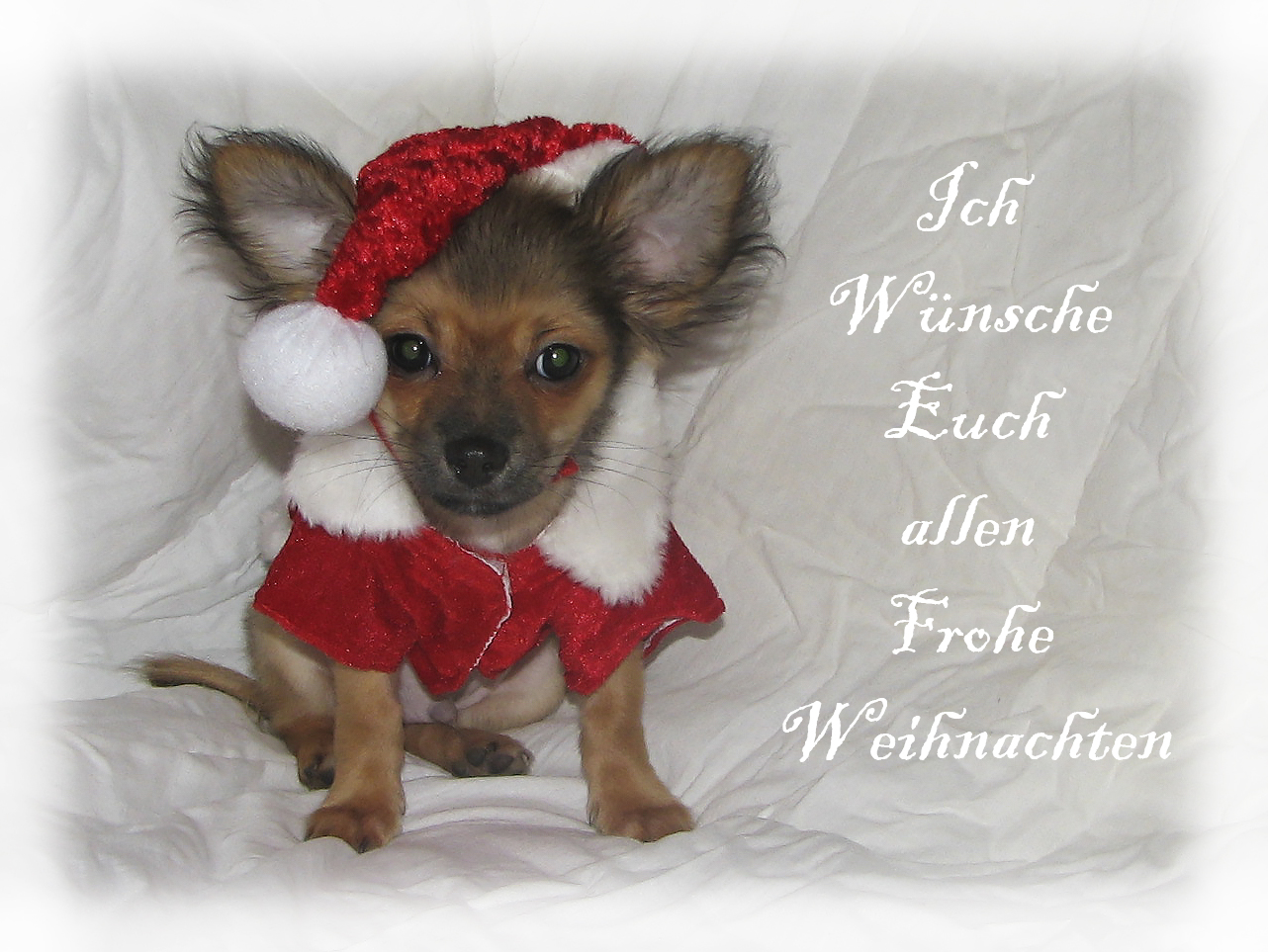 Frohe Weihnachten