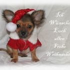 Frohe Weihnachten