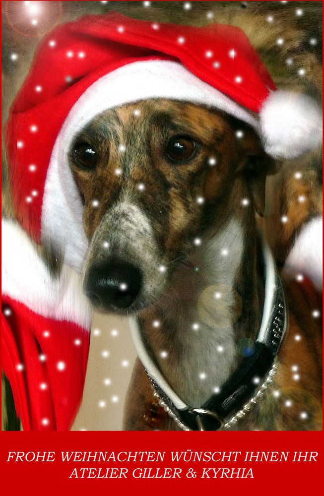 FROHE WEIHNACHTEN Foto &amp; Bild gratulation und feiertage, weihnachten
