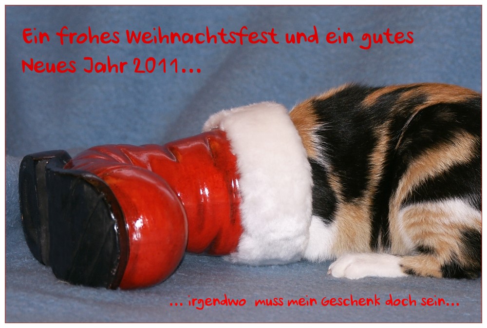 Frohe Weihnachten