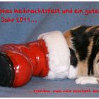 Frohe Weihnachten