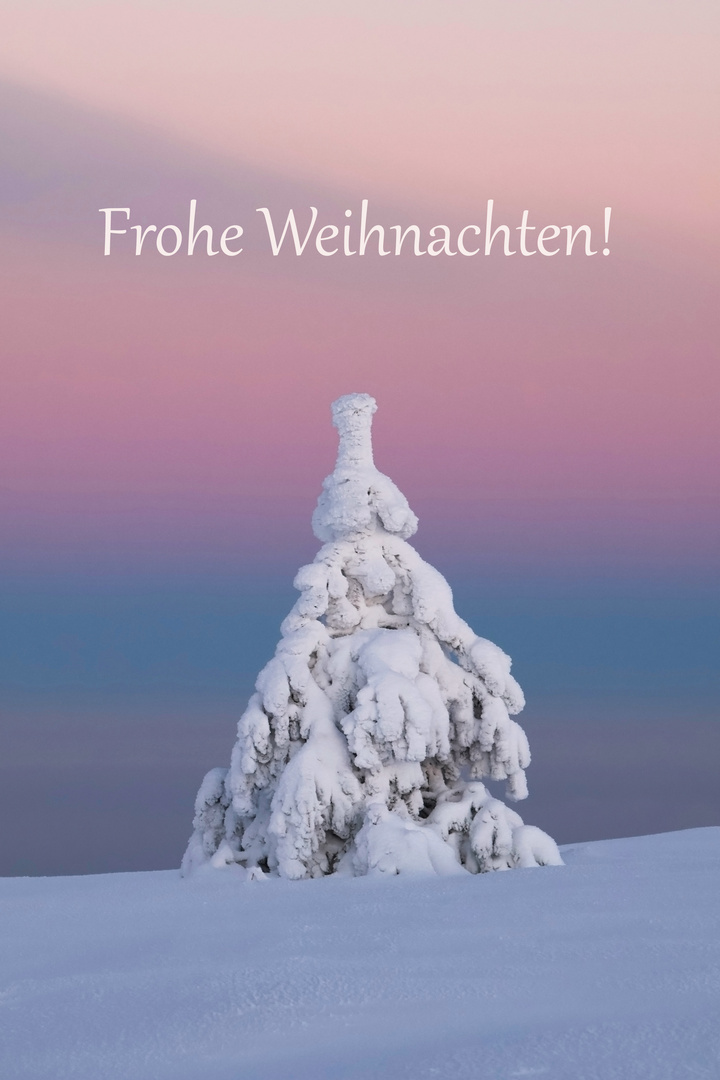 Frohe Weihnachten