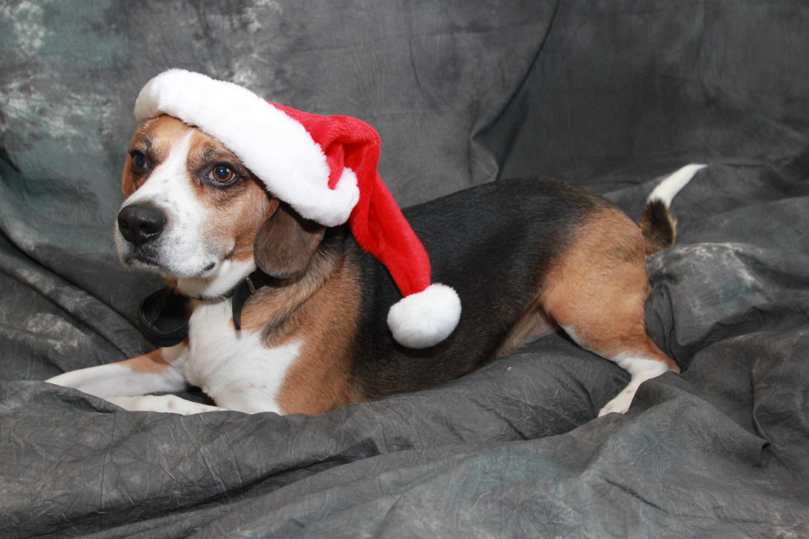 Frohe Weihnachten !