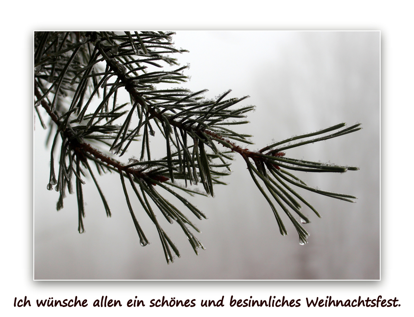 Frohe Weihnachten!