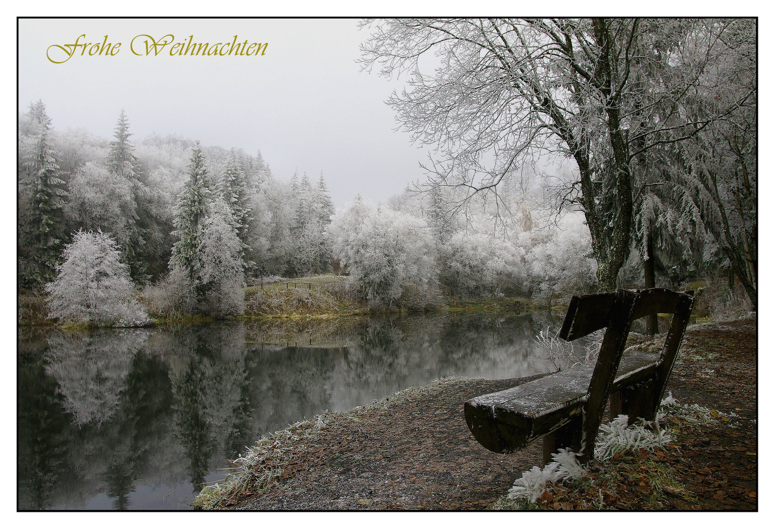 Frohe Weihnachten