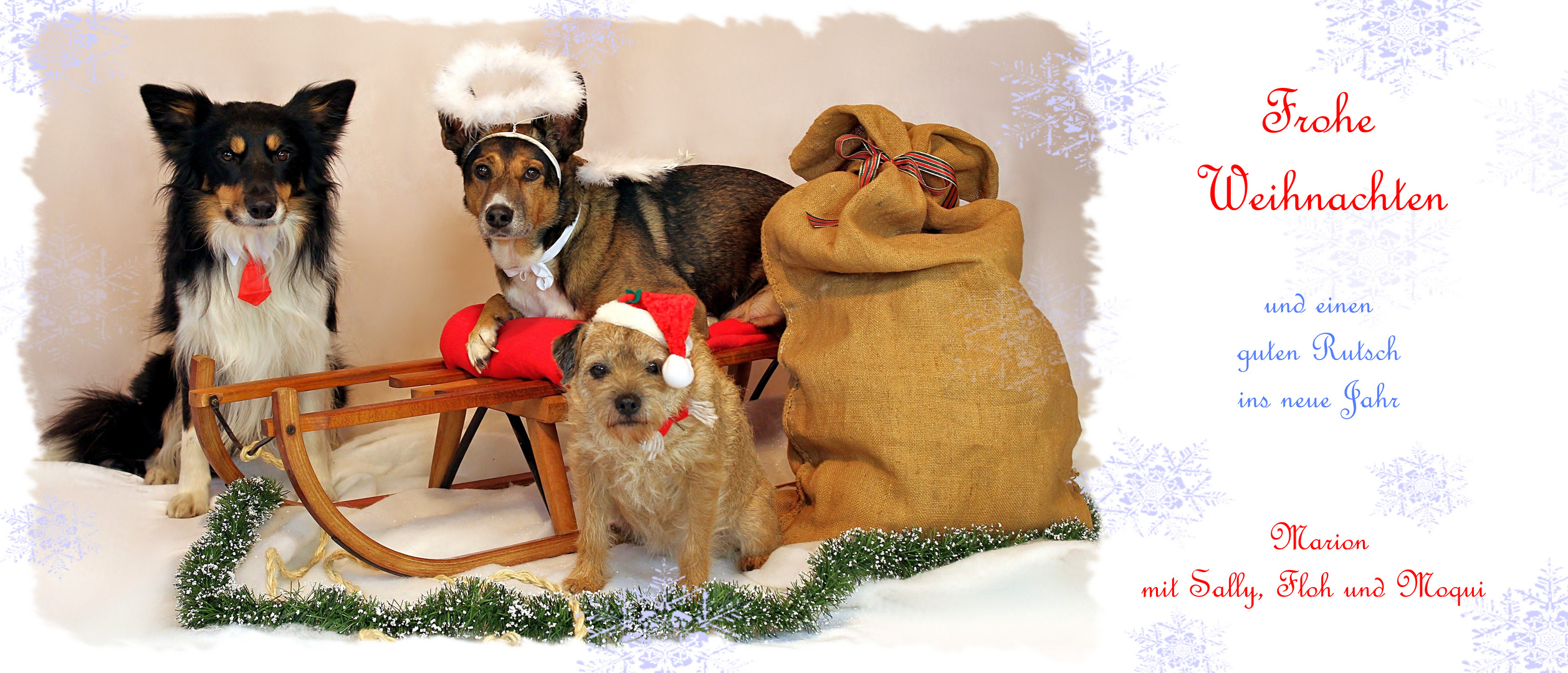 Frohe Weihnachten Foto & Bild gratulation und feiertage, weihnachten