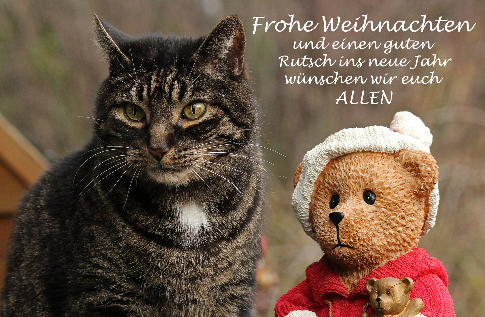 FROHE WEIHNACHTEN