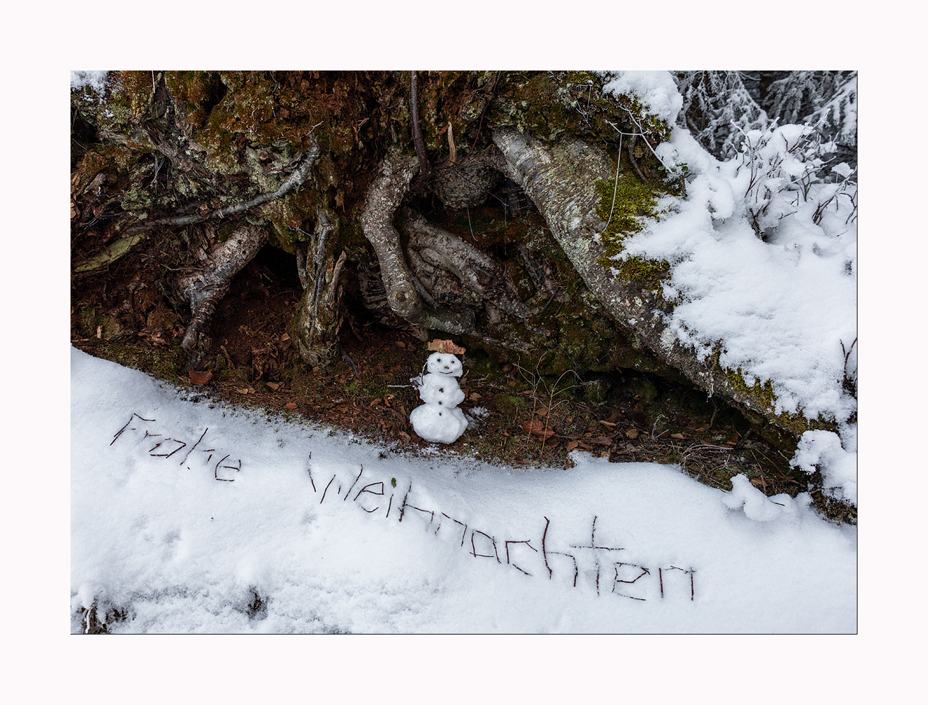 Frohe Weihnachten