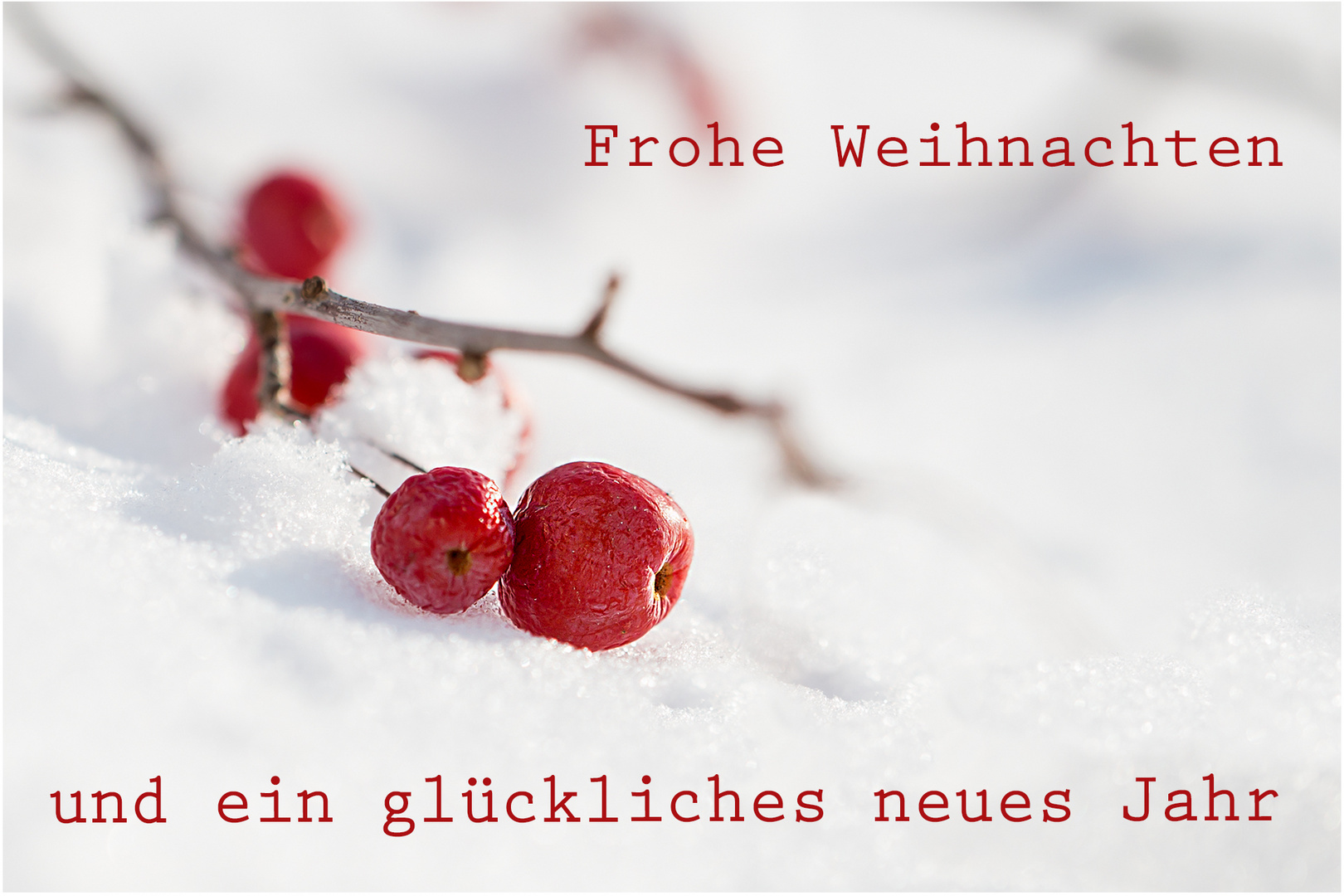 Frohe Weihnachten!