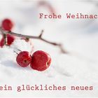 Frohe Weihnachten!