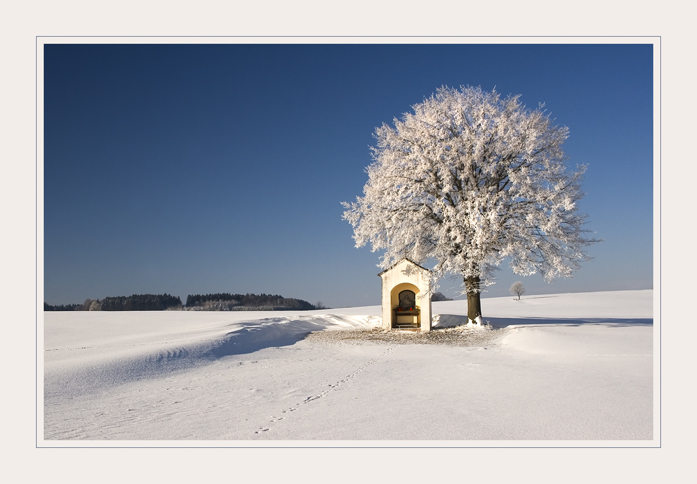 Frohe Weihnachten...