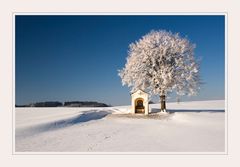 Frohe Weihnachten...