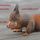 Frohe Weihnachten   . . .