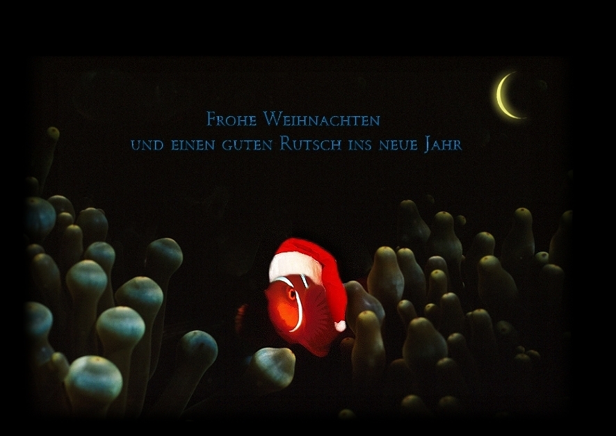 Frohe Weihnachten