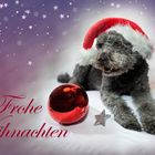 Frohe Weihnachten