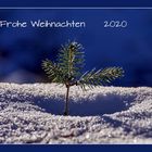 Frohe Weihnachten.....