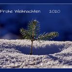 Frohe Weihnachten.....