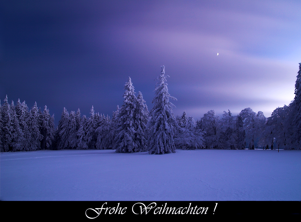 Frohe Weihnachten !