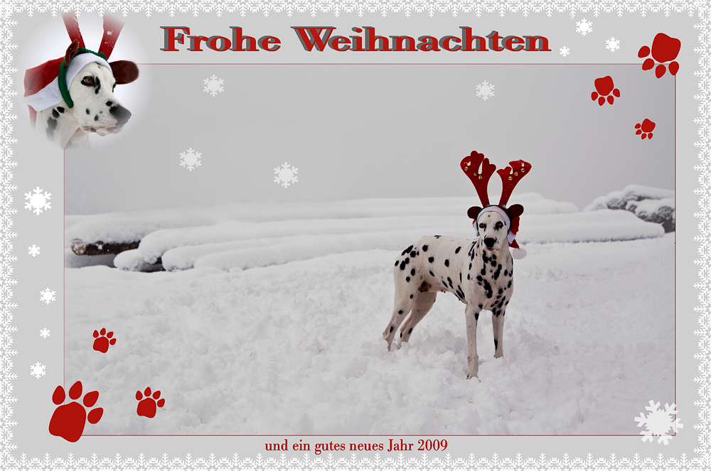 Frohe Weihnachten