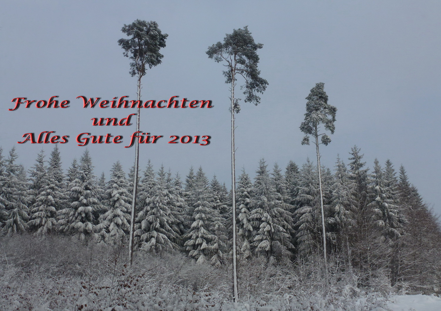 frohe Weihnachten