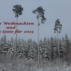 frohe Weihnachten