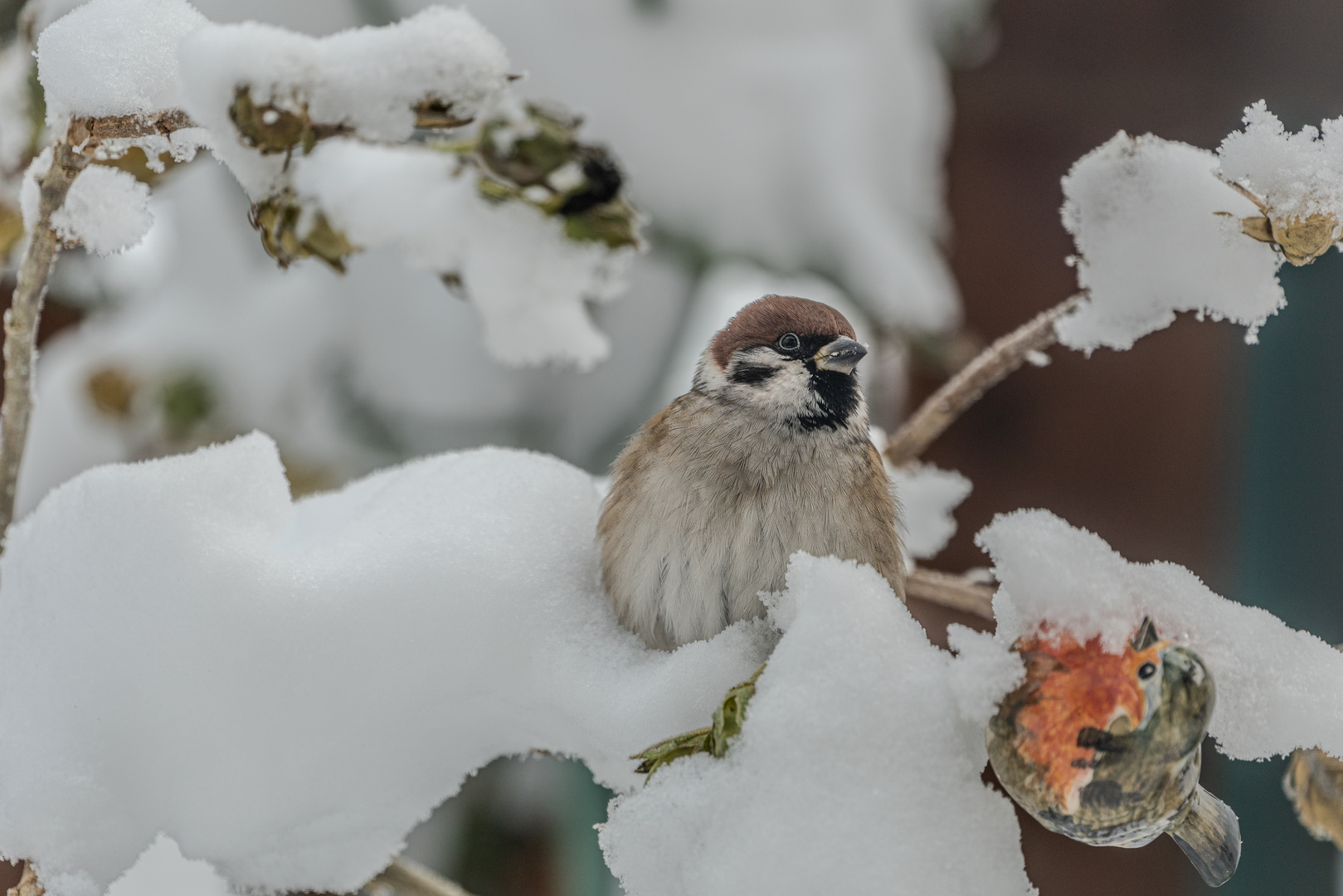 Frohe Weihnachten!