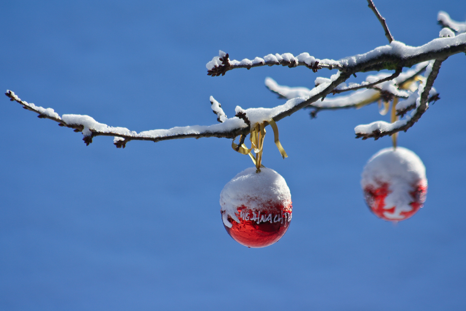 Frohe Weihnachten!