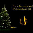 Frohe Weihnachten