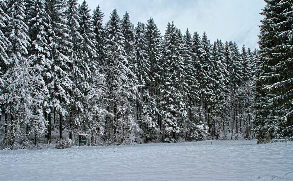 Frohe Weihnachten