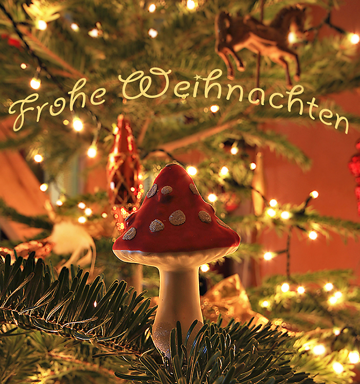 ~   Frohe Weihnachten   ~