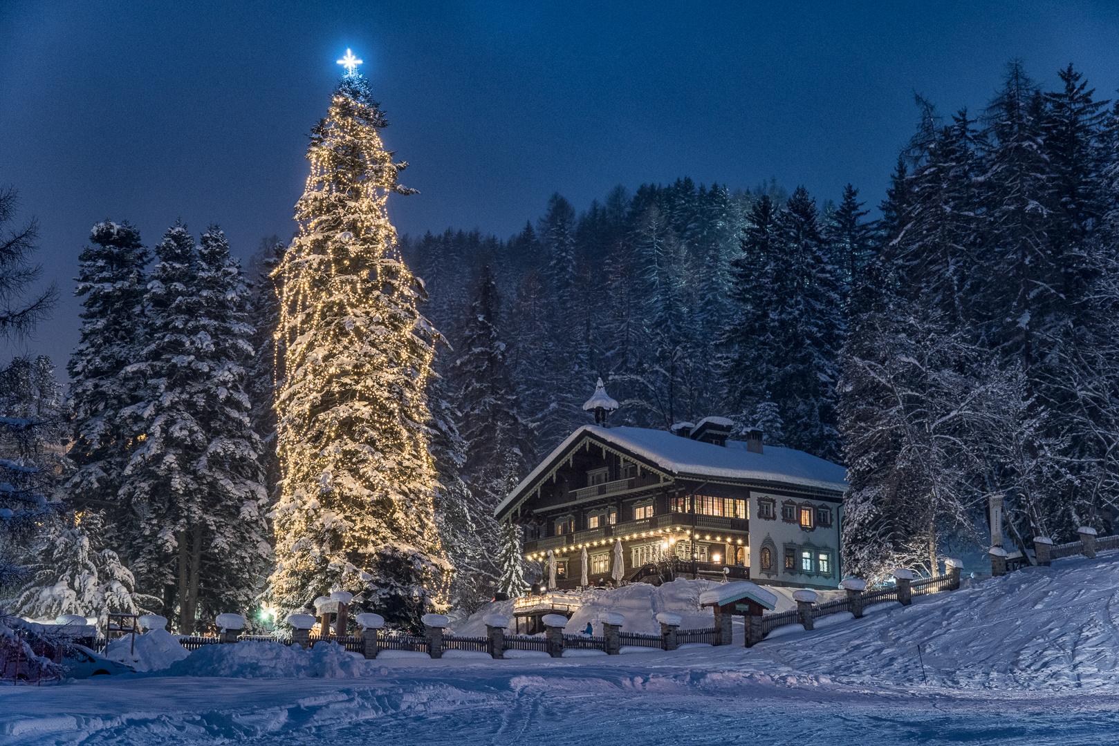 frohe weihnachten