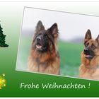 Frohe Weihnachten !!!