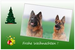 Frohe Weihnachten !!!