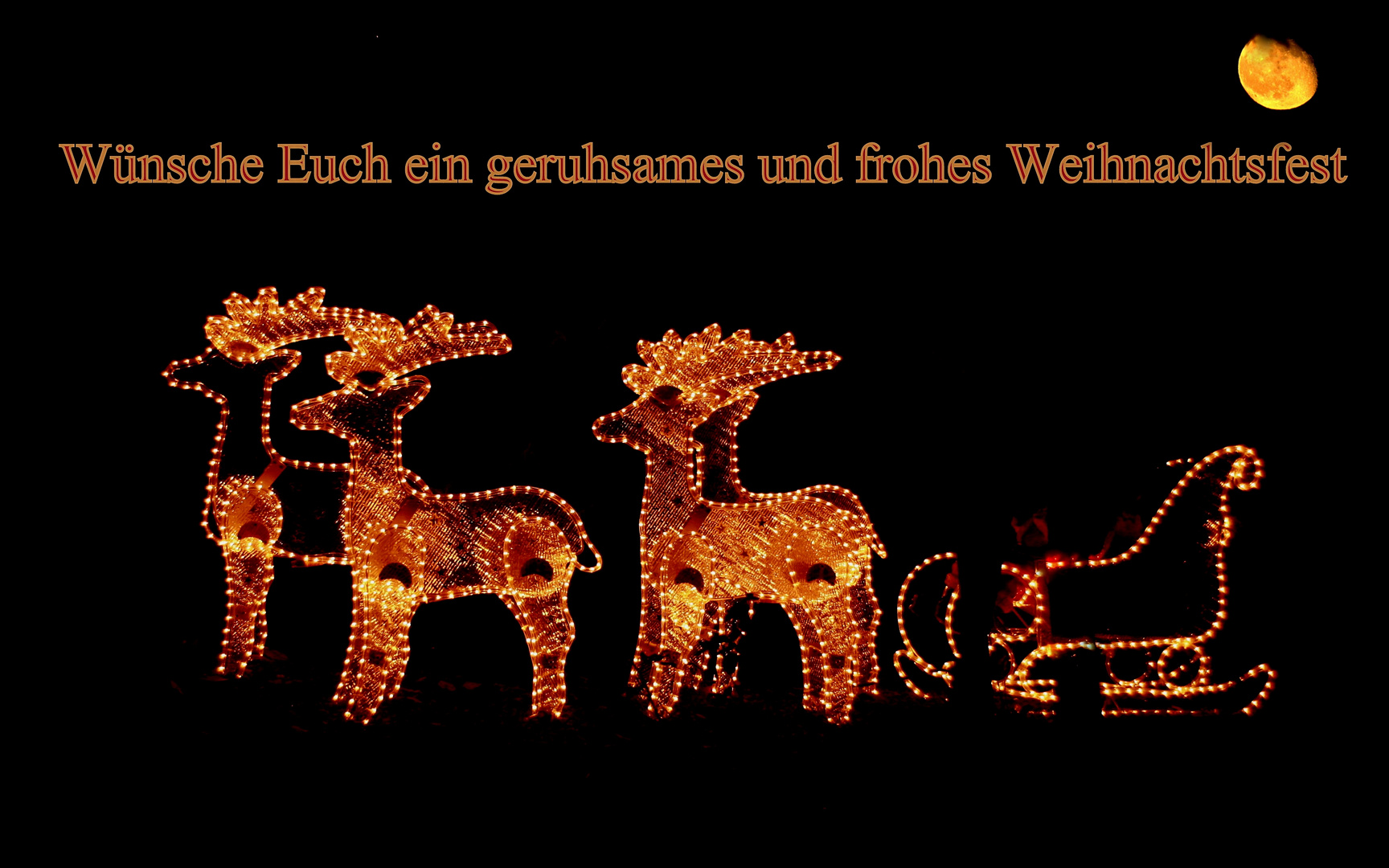 Frohe Weihnachten!