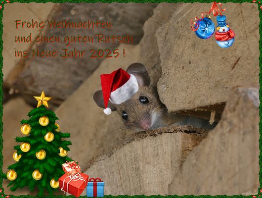Frohe Weihnachten ...