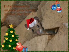 Frohe Weihnachten ...
